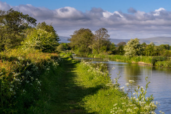 Картинка природа реки озера лес река