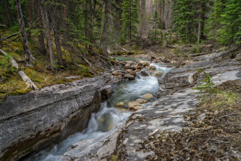 Картинка природа реки озера лес река