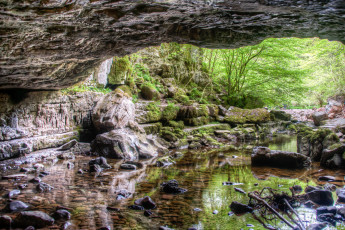 Картинка природа реки озера река лес