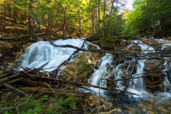 Картинка природа водопады водопад река лес