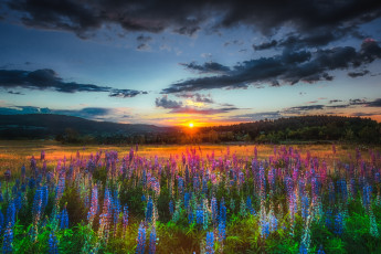 Картинка природа восходы закаты рассвет