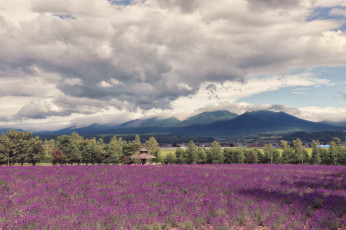 Картинка природа луга горы облака небо луг