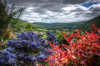 Картинка природа пейзажи долина растительность тучи