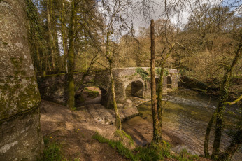 Картинка природа реки озера мост река лес