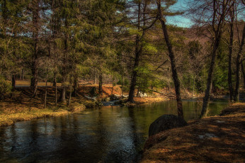 Картинка природа реки озера река лес