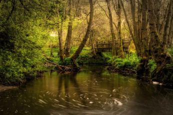 Картинка природа реки озера река лес