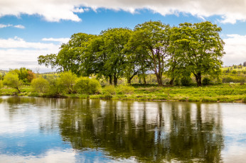 Картинка природа реки озера река лес