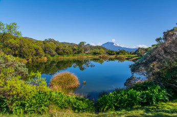 Картинка природа реки озера река лес горы