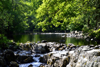 Картинка природа реки озера вода деревья река