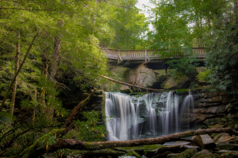 Картинка природа водопады река лес водопад