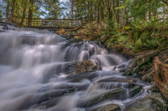 Картинка природа водопады водопад лес река