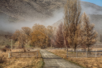 Картинка природа дороги тракт лес