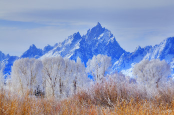 Картинка природа горы wyoming grand teton national park иней снег зима деревья небо сша