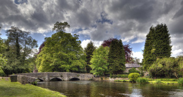 Картинка природа реки озера мост река лес