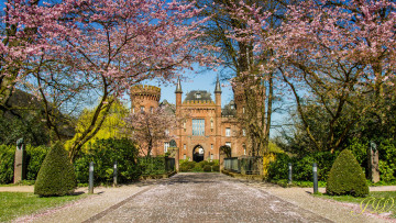 Картинка города -+дворцы +замки +крепости небо замок весна цветение деревья