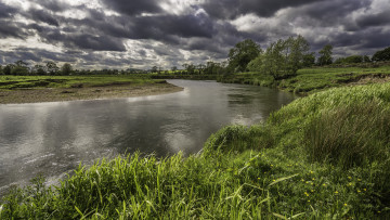 Картинка природа реки озера трава берега речка