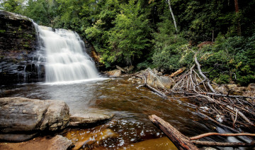 Картинка природа водопады водопад река лес
