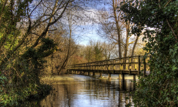 Картинка природа реки озера мостик река лес