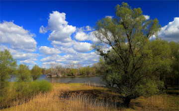 Картинка природа реки озера река лес