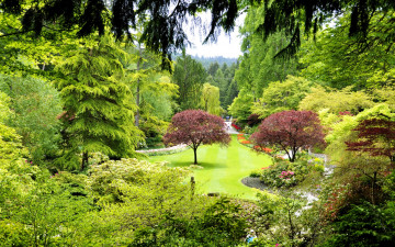 Картинка природа парк кусты деревья газон трава сад butchart gardens канада