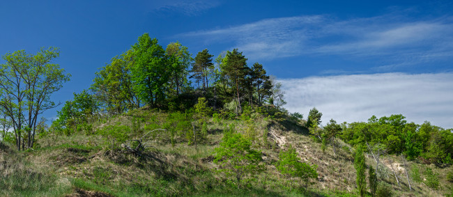 Обои картинки фото природа, пейзажи, холм, деревья