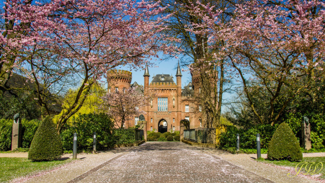 Обои картинки фото города, - дворцы,  замки,  крепости, небо, замок, весна, цветение, деревья