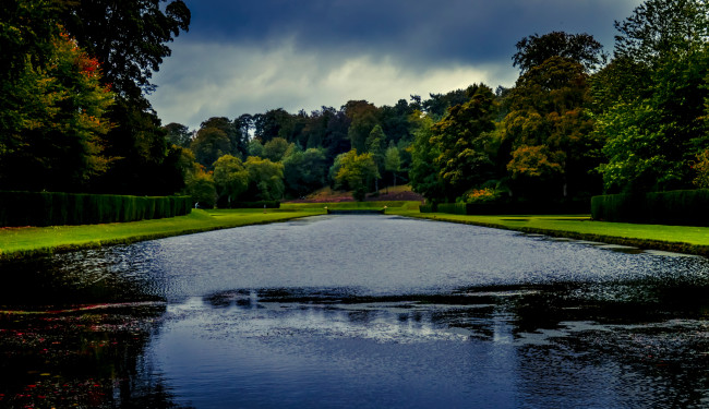 Обои картинки фото природа, парк, озеро, деревья