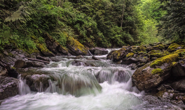 Обои картинки фото природа, реки, озера, река, лес