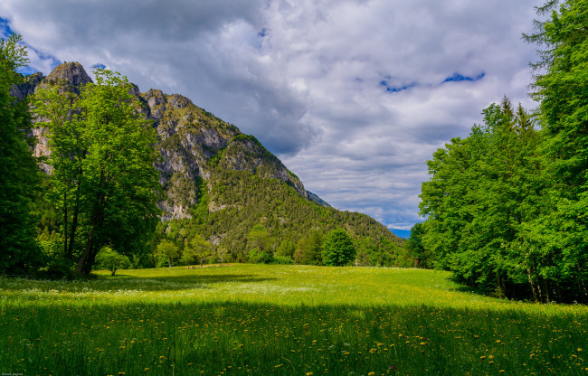 Обои картинки фото природа, луга, трава, лес, горы