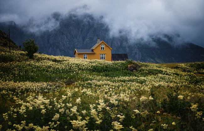 Обои картинки фото yellow house, города, - пейзажи, горы, шале, луг