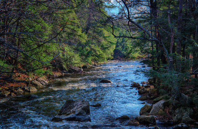 Обои картинки фото природа, реки, озера, река, лес