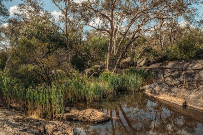 Обои картинки фото природа, реки, озера, лес, река