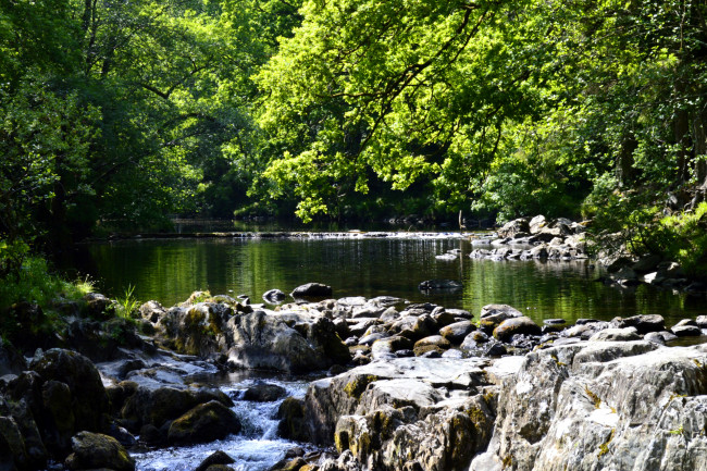 Обои картинки фото природа, реки, озера, вода, деревья, река