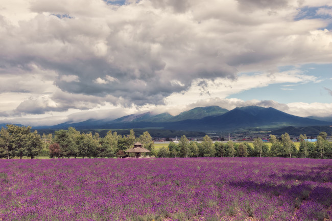 Обои картинки фото природа, луга, горы, облака, небо, луг