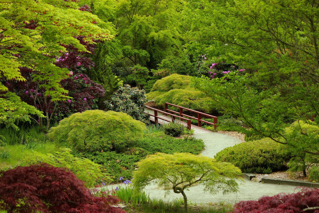 Обои картинки фото природа, парк, дорожка, мостик