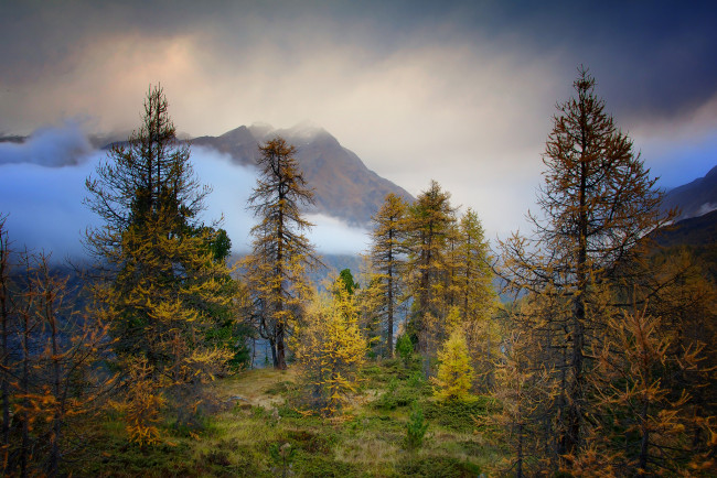 Обои картинки фото природа, пейзажи, вершины, осень, лес