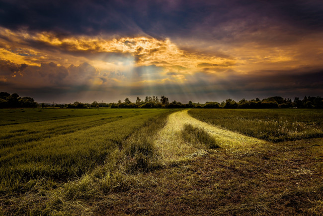 Обои картинки фото природа, поля, свет, тучи, поле