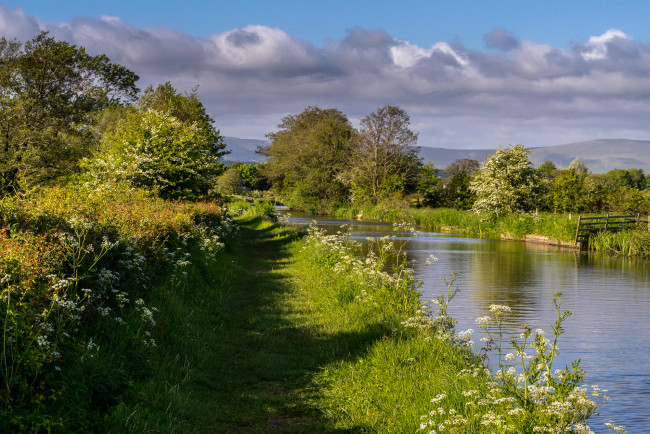 Обои картинки фото природа, реки, озера, лес, река