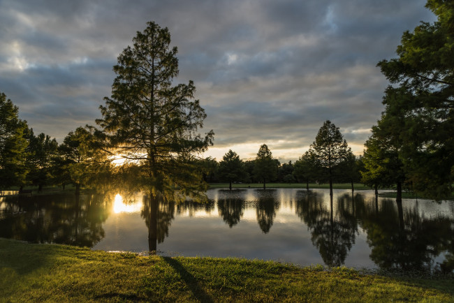 Обои картинки фото природа, реки, озера, лес, река