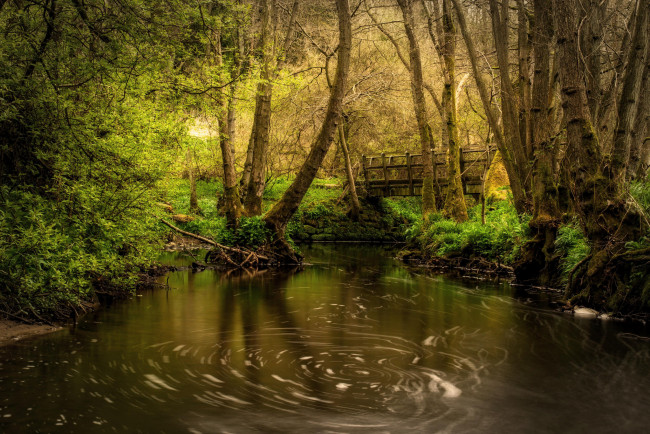 Обои картинки фото природа, реки, озера, река, лес