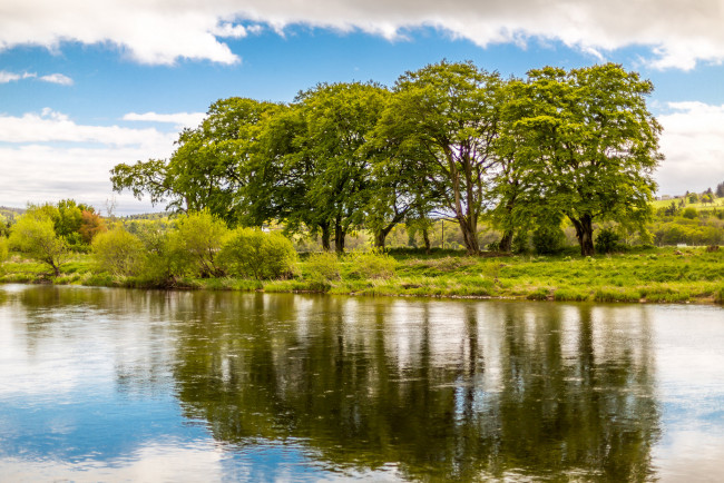 Обои картинки фото природа, реки, озера, река, лес