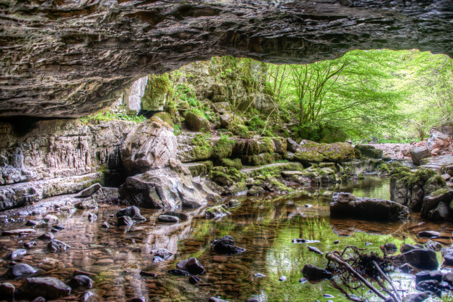 Обои картинки фото природа, реки, озера, река, лес