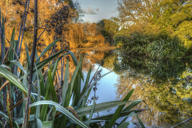 Обои картинки фото природа, реки, озера, река, лес