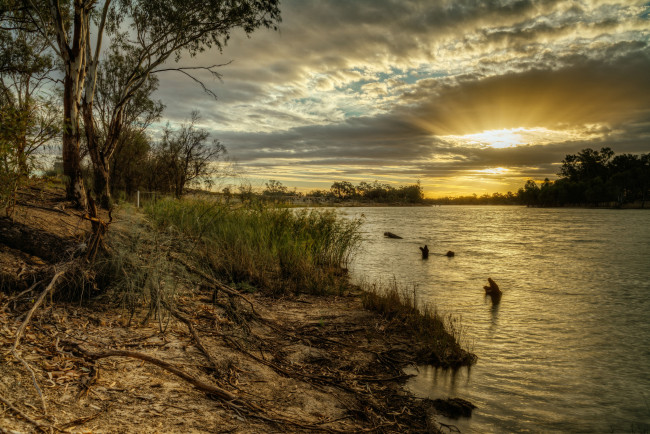 Обои картинки фото природа, реки, озера, река, лес