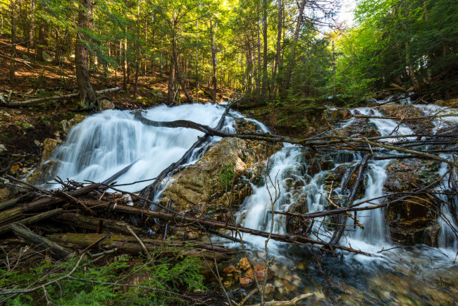 Обои картинки фото природа, водопады, водопад, река, лес