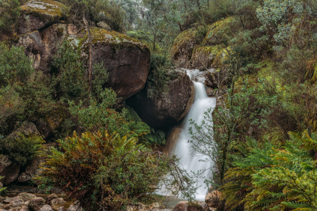 Обои картинки фото природа, водопады, водопад, река, лес