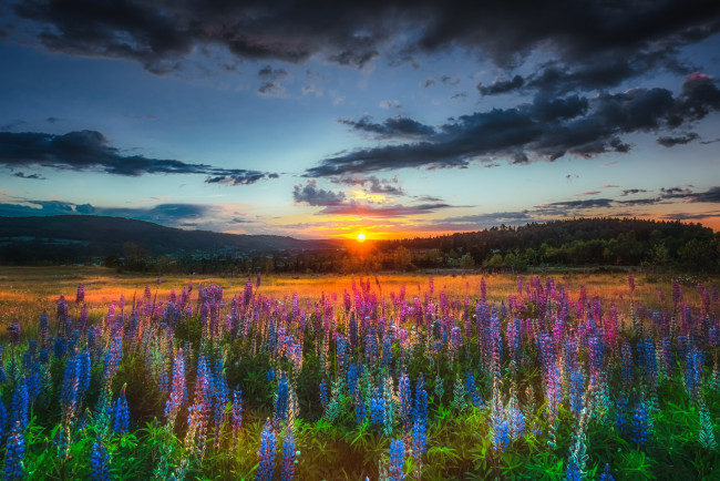 Обои картинки фото природа, восходы, закаты, рассвет