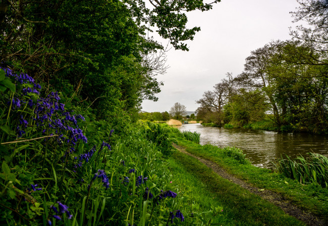 Обои картинки фото природа, дороги, тропинка, река, лес