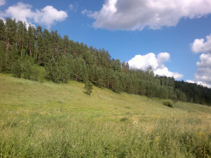 Картинка природа+самары природа луга село бахилово самарская область