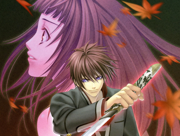 Обои картинки фото аниме, hiiro no kakera, парни, девушка